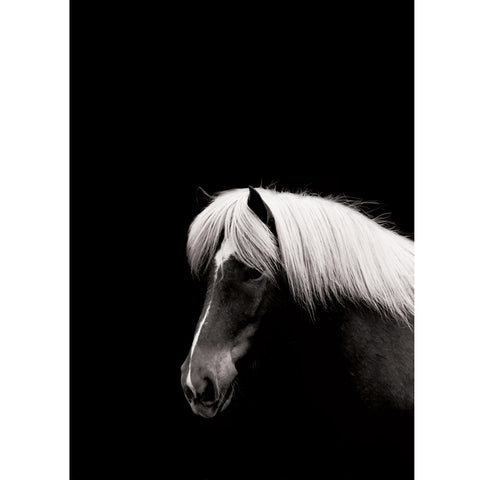 SIMPLE FORM. - Sarah Cocolapine Sarah Cocolapine Hestur Horse Print - 