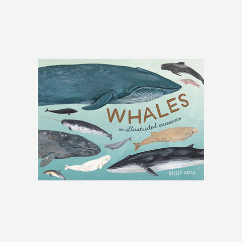 SIMPLE FORM. - Children's Books Kelzuki Whales An Illustrated Celebration Book - 