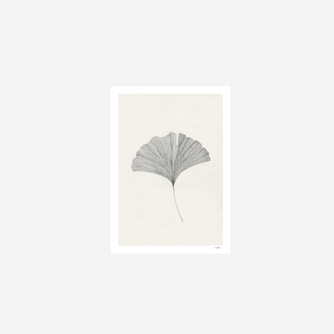 SIMPLE FORM. - The Poster Club Ana Frois Ginkgo Leaf Print - 
