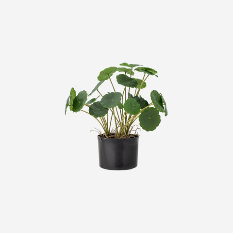 Bloomingville Penny Wort Faux Plant Pot Bloomingville - [store_name]