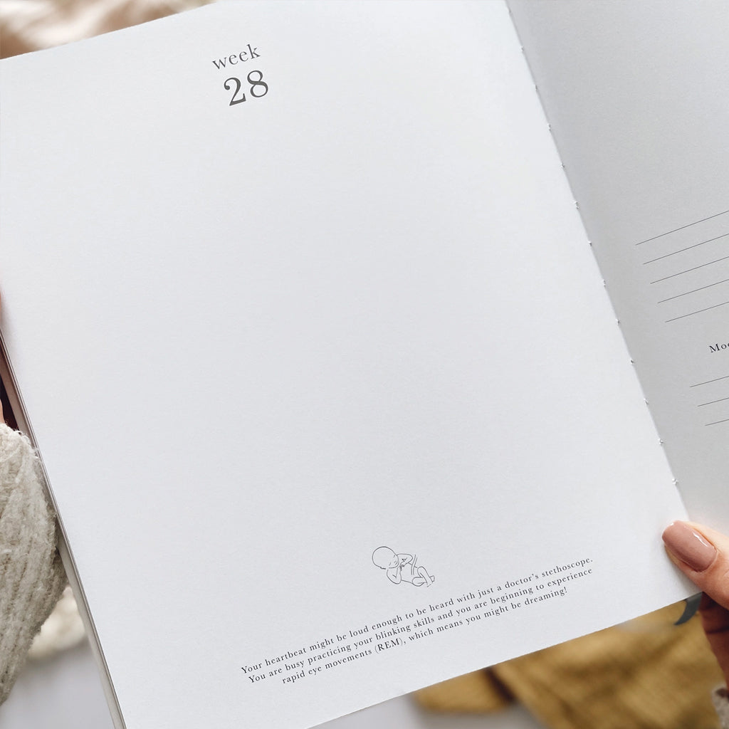 Blush & Gold Pregnancy Journal Baby Gifts