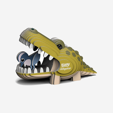 Eugy Alligator  Eugy    - [store_name]