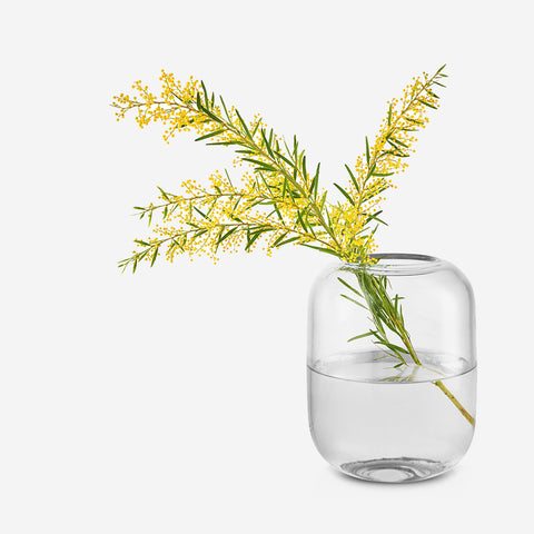 SIMPLE FORM. - Eva Solo Eva Solo Acorn Vase Short Clear - 