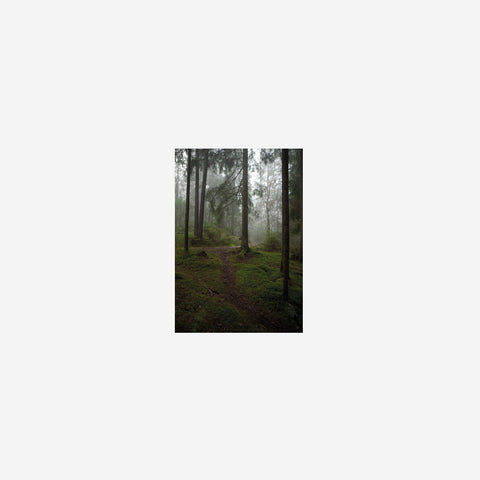 Fine Little Day Glanta Print 50x40cm Art Print Fine Little Day - [store_name]