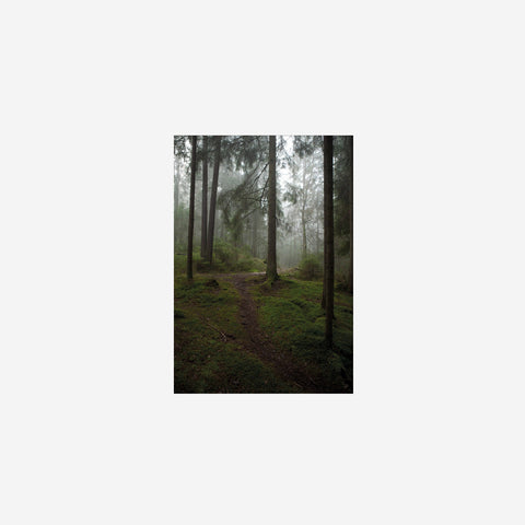 Fine Little Day Glanta Print 70x50cm Art Print Fine Little Day - [store_name]