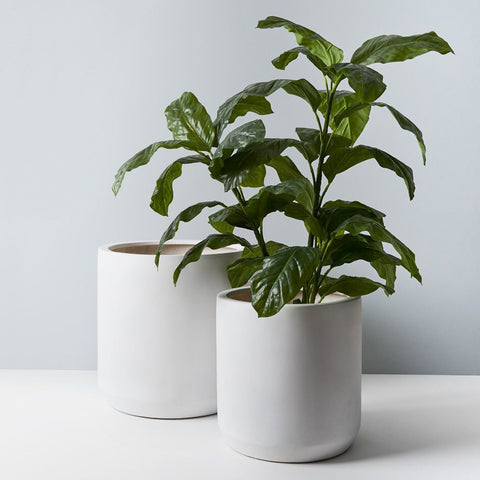 Floral Interiors Ash Pot Set of 2 White Pot Floral Interiors - [store_name]