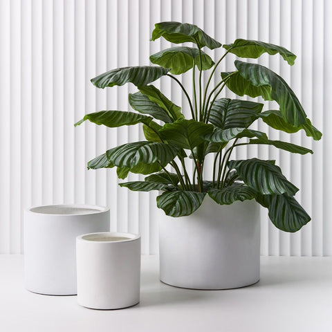Floral Interiors Cylinder Pot Set of 3 White Pot Floral Interiors - [store_name]
