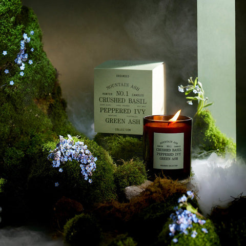 Hunter Candles Mountain Ash / Basil Ivy Ash Candle Scented Candle Hunter Candles - [store_name]