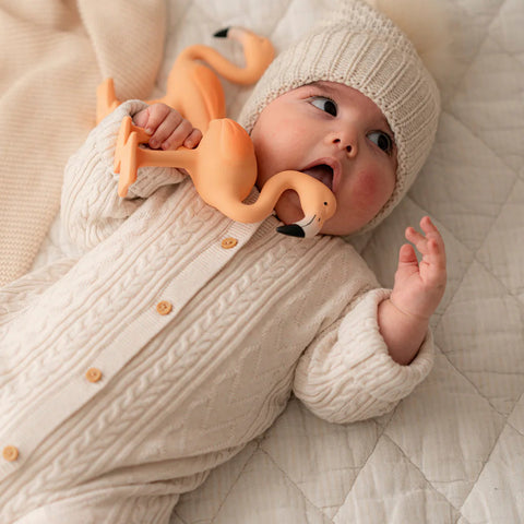 Lingo The Flamingo Baby Teether  Lingo The Flamingo    - [store_name]