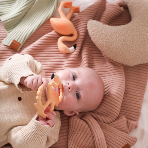 Lingo The Flamingo Baby Teether Flock Set Lingo The Flamingo - [store_name]