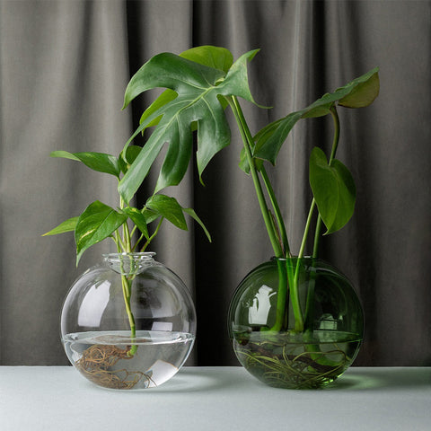 Studio Milligram Bulb Planter Green 18cm Vase Studio Milligram - [store_name]