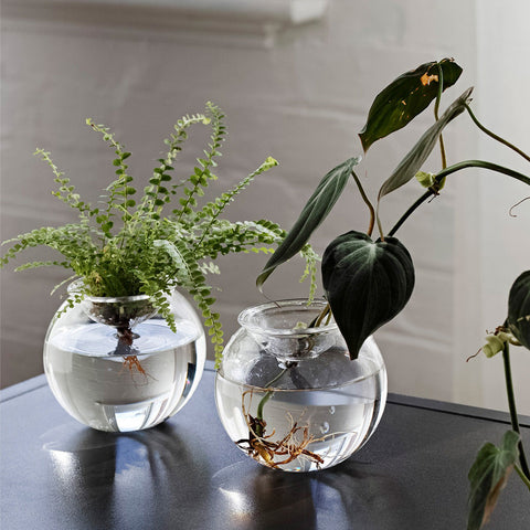 Studio Milligram Bulb Planter Small Set Propagation Vase Studio Milligram - [store_name]