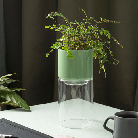 Studio Milligram Glass Flip Planter Tall Clear + Sage Planter Studio Milligram - [store_name]