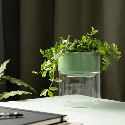 Studio Milligram Glass Flip Planter Wide Clear + Sage Planter Studio Milligram - [store_name]