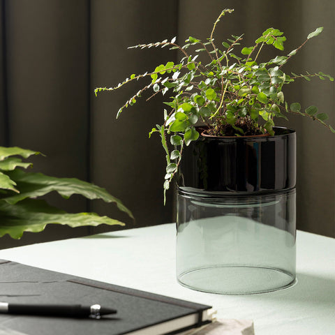 Studio Milligram Glass Flip Planter Wide Smoke/Black Oil Burner Studio Milligram    - [store_name]