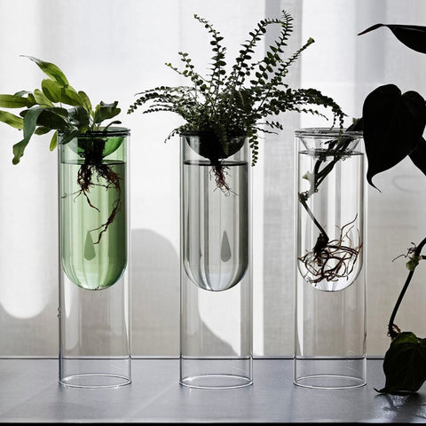 Studio Milligram Glass Propagation Vase Clear Planter Studio Milligram - [store_name]