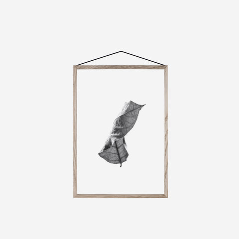 SIMPLE FORM. - Moebe Moebe Floating Leaves Transparent Print 01 - 