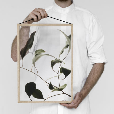 SIMPLE FORM. - Moebe Moebe Floating Leaves Transparent Print 09 - 