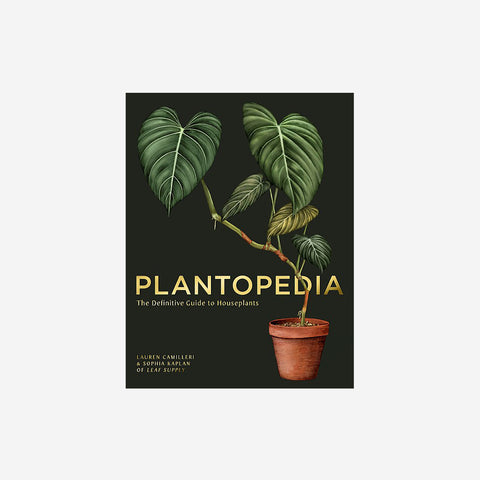 SIMPLE FORM. - Reading Matters Plantopedia: The Definitive Guide to House Plants - 