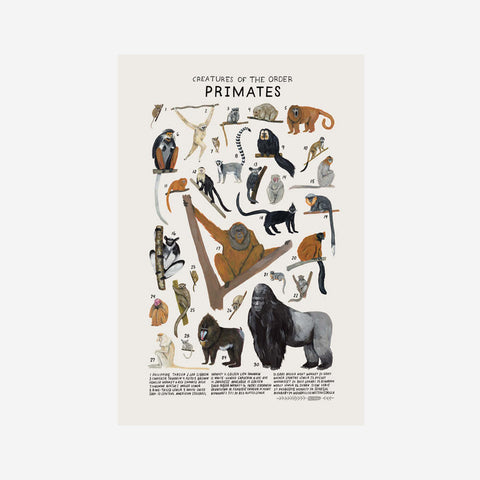 SIMPLE FORM. - Kelzuki Kelzuki Creatures of the Order Primates Print - 
