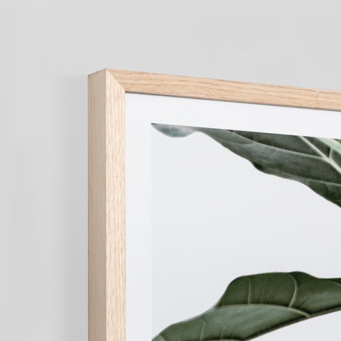 SIMPLE FORM. - Middle of Nowhere Middle Of Nowhere Fiddle Leaf Fig Print Framed - 