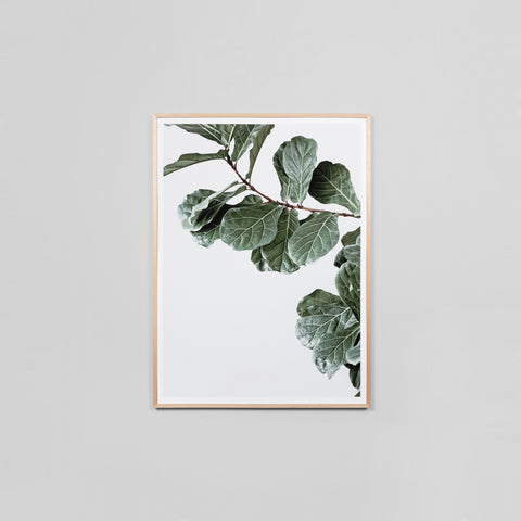 SIMPLE FORM. - Middle of Nowhere Middle Of Nowhere Fiddle Leaf Fig Print Framed - 
