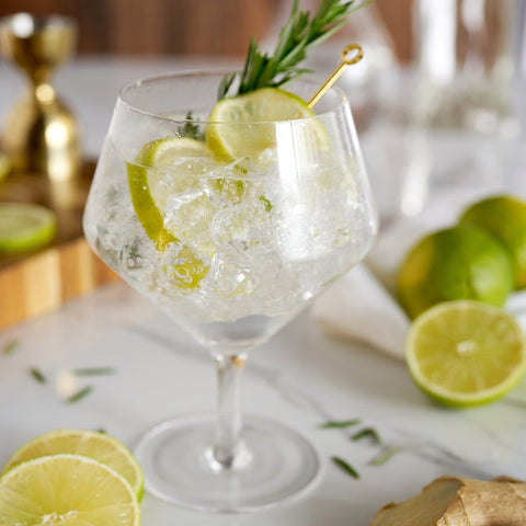 Viski Gin + Tonic Glasses Drinkware Viski    - [store_name]