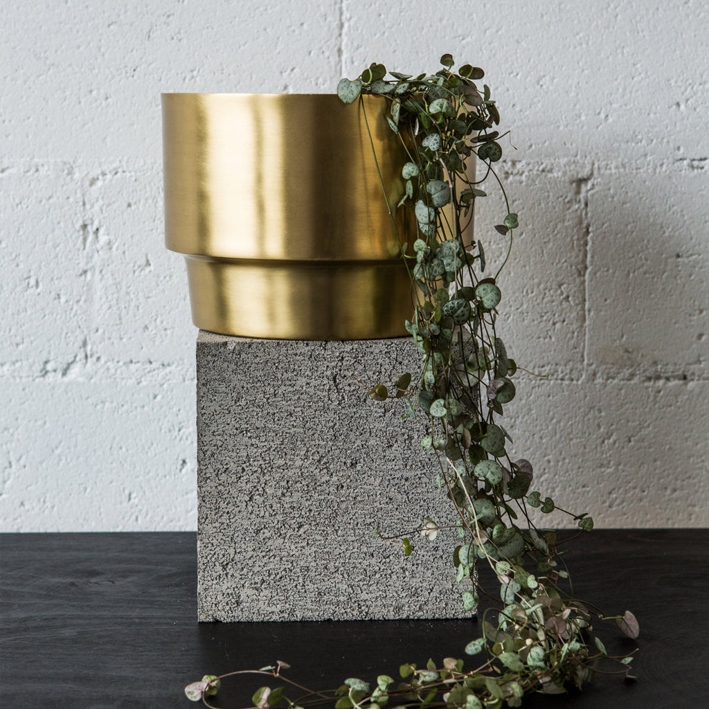 large brass planter pots australia Behr & Co Brass Century Pot | Pots + Planters