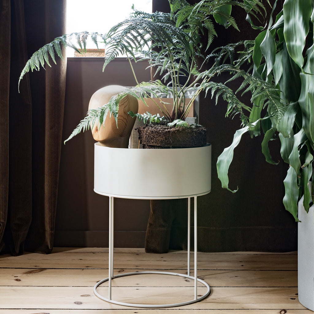 Plant shop light box